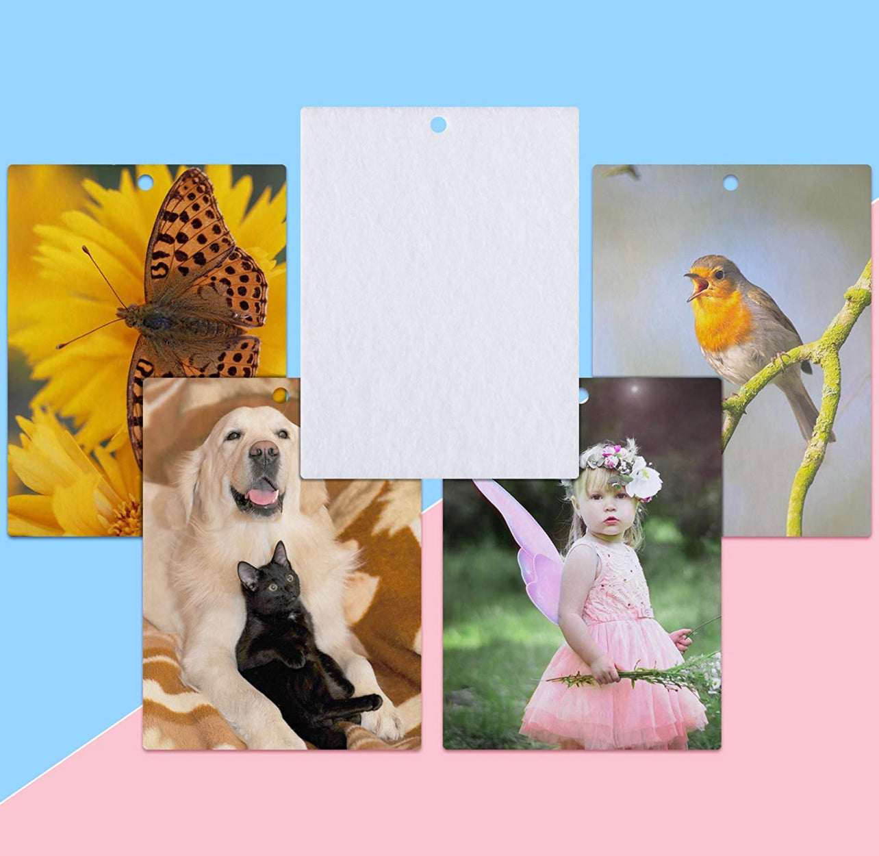 Custom Air Fresheners